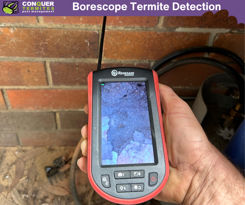 Borescope Cameras: A Powerful Tool for Termite Detection