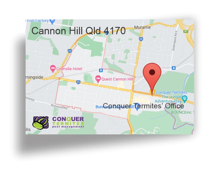 Pest Control Treatment - Cannon Hill - Brisbane, Qld 4170