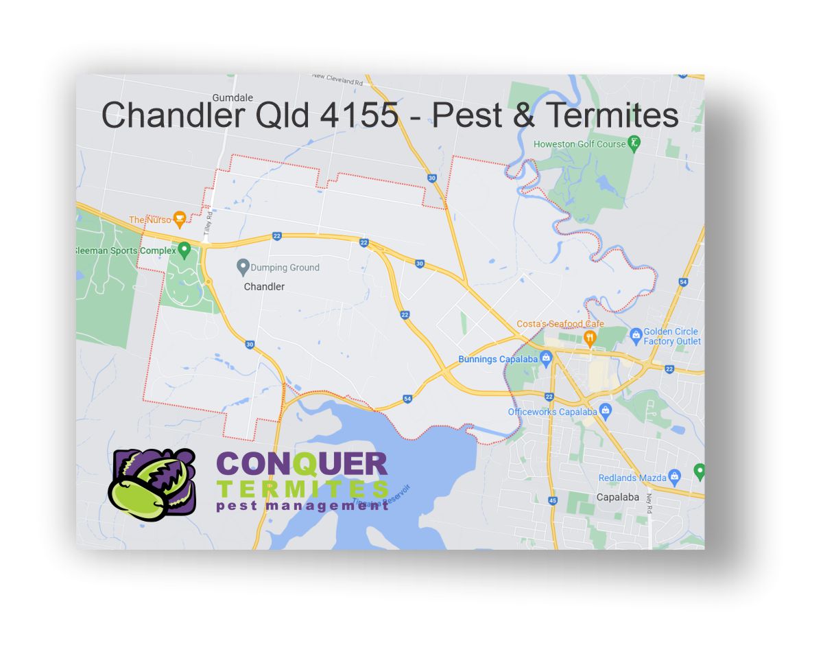 Pest Control Treatment - Chandler - Brisbane - Qld 4155 | Conquer ...