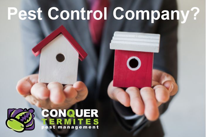Choosing the Right Pest Control company to do a Termite Inspection in Brisbane