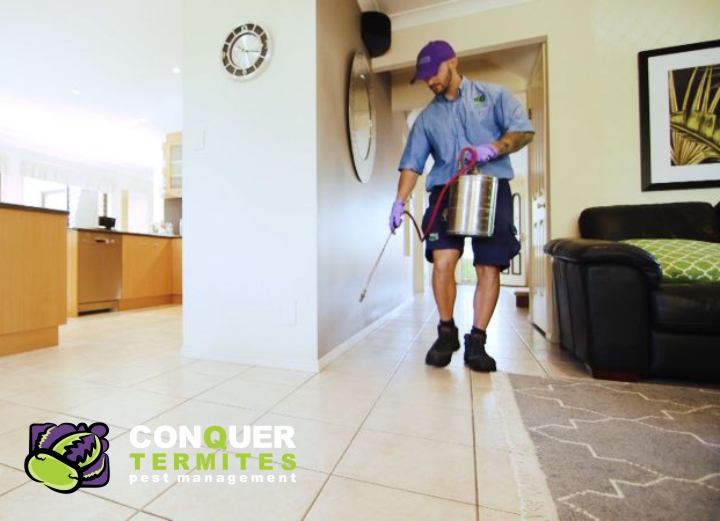 Amazing results with Conquer’s pest control treatment