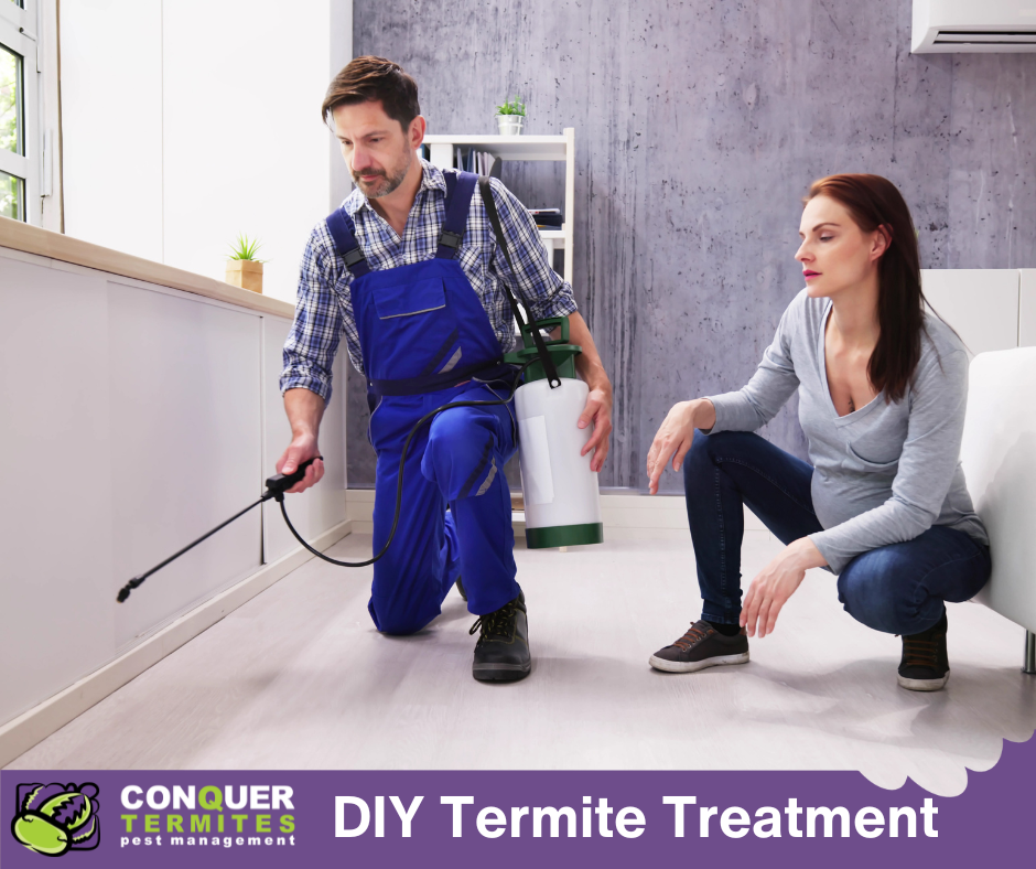 DIY Termite Treatments: What You Should Know to Avoid Costly Mistakes