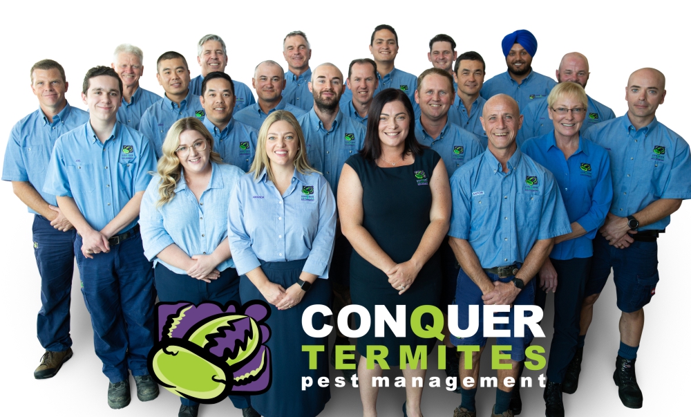 Best Pest Termite Control Company in Brisbane
