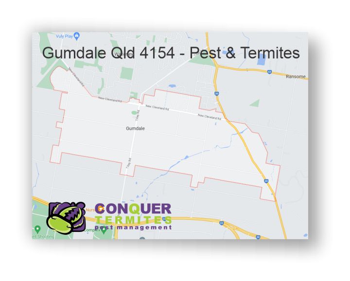 Pest Control Treatment - Gumdale - Brisbane - Qld 4154