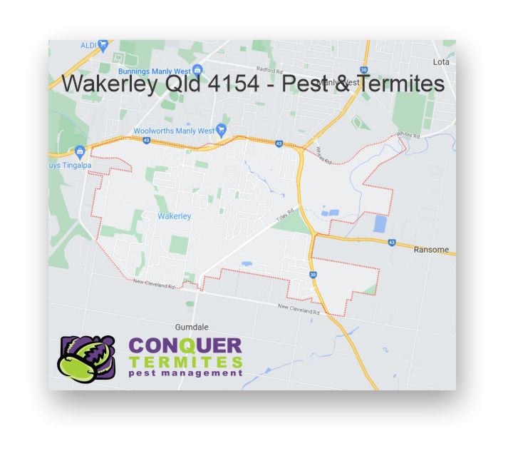 Pest Control Treatment - Wakerley - Brisbane - Qld 4154