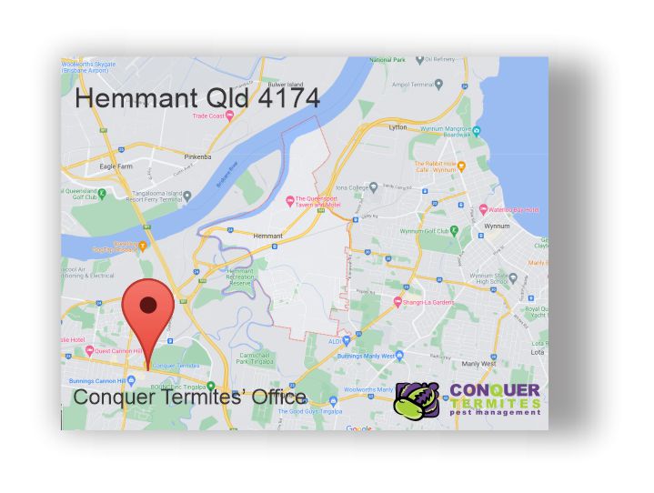 Pest Control Treatment - Hemmant - Brisbane - Qld 4174 