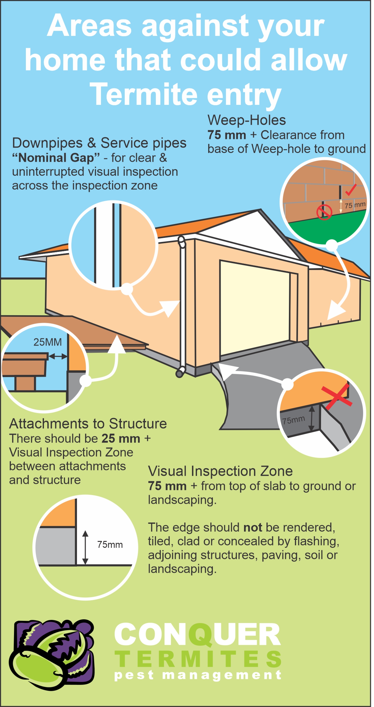 Termite entry to a house - what you should do