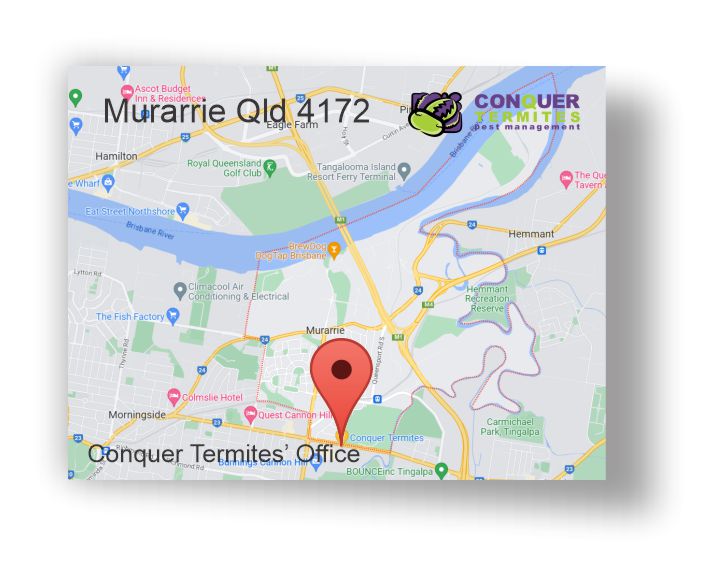 Pest Control Treatment - Murarrie - Brisbane - Qld 4172