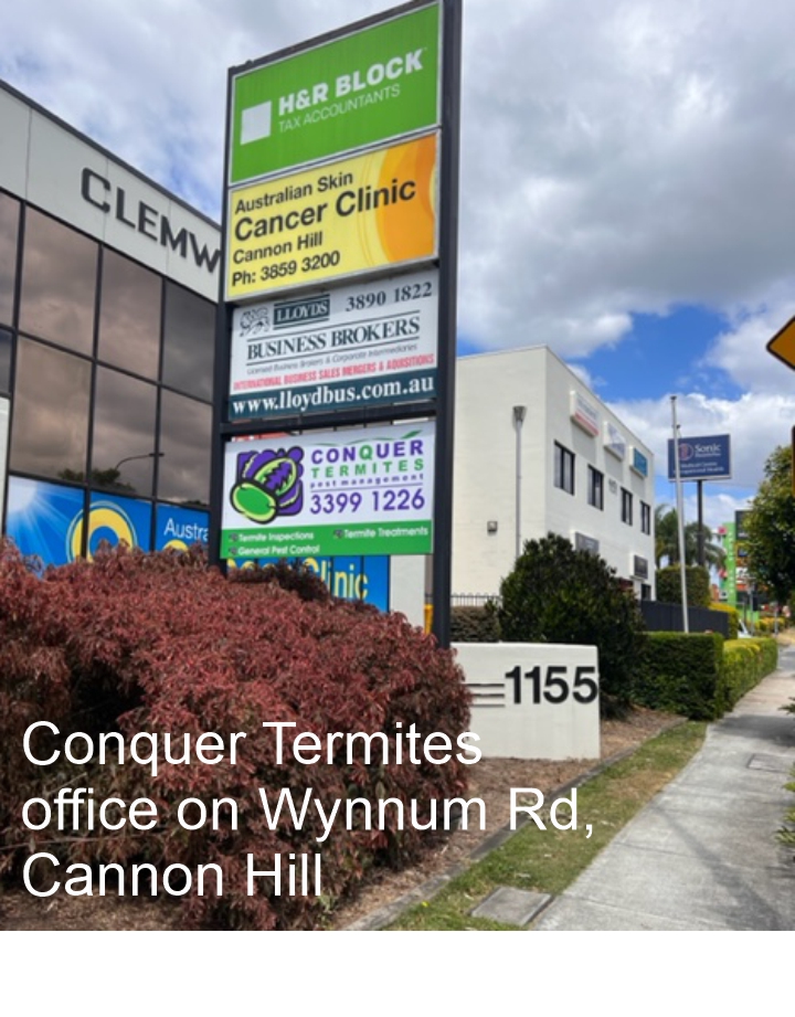 Conquer Termites office on Wynnum Rd Cannon Hill