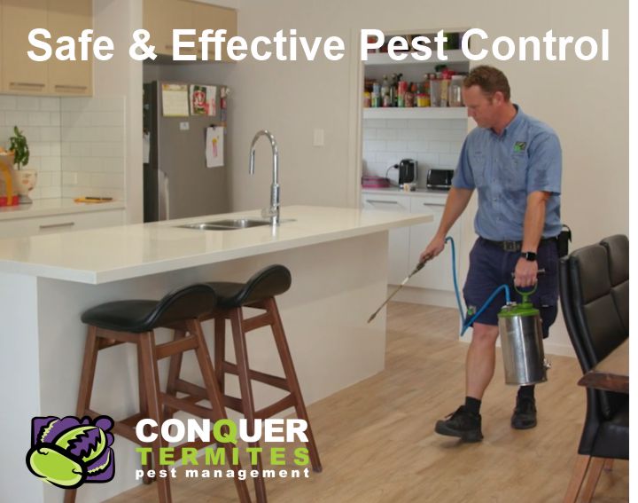 Pest Control Treatment - Camp Hill - Brisbane, Qld 4152 | Conquer ...