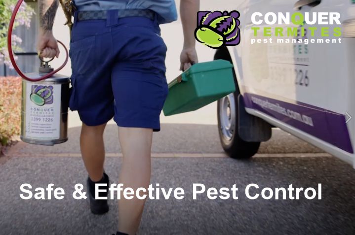 Pest Control Treatment - Coorparoo -, Brisbane, Qld 4151