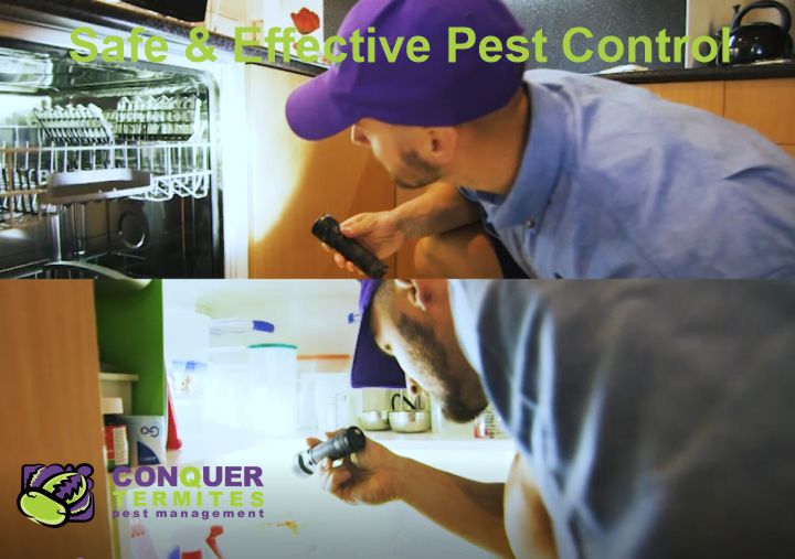 Pest Control Treatment - Carina - Brisbane, Qld 4152