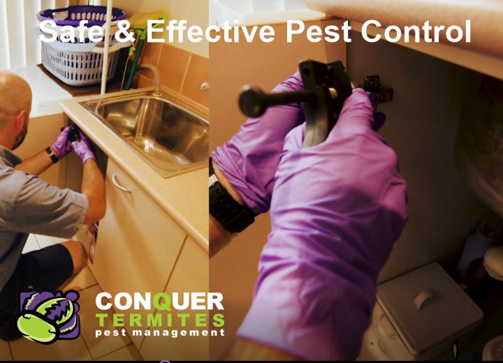 Pest Control Treatment - Cannon Hill - Brisbane, Qld 4170 | Conquer ...