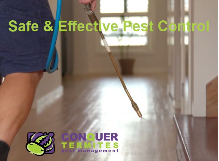 Pest Control Treatment - Norman Park - Brisbane - Qld 4170