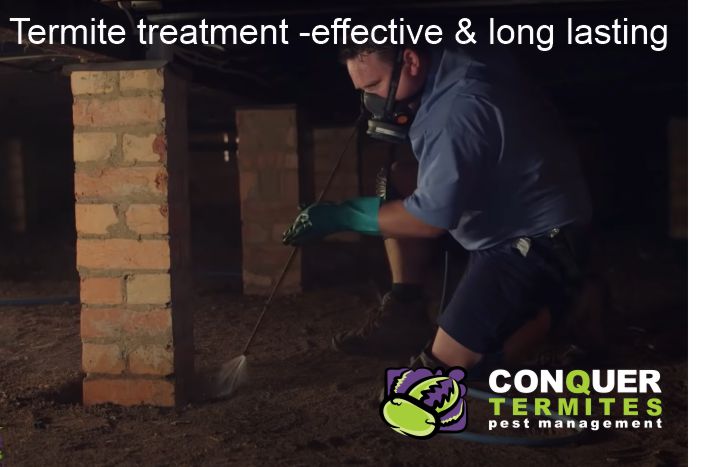 Termite treatment for an existing home - Brisbane