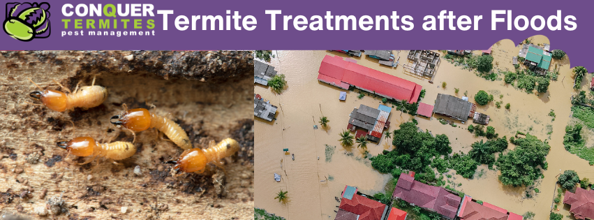 How Do Termite Treatments Hold Up During Floods?