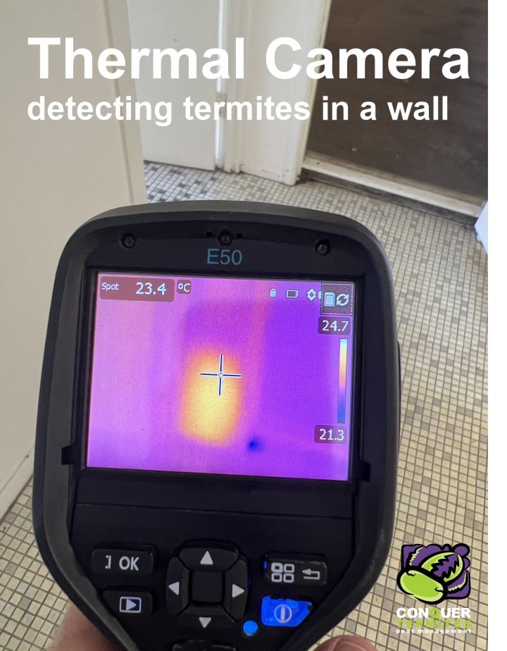 Termites found with a Thermal Camera in a house in Wakerley