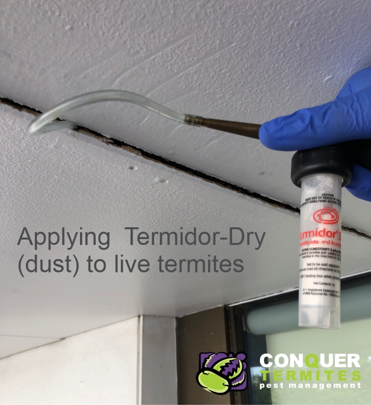 Termidor Dust treatment to live termites in a house in Morningside