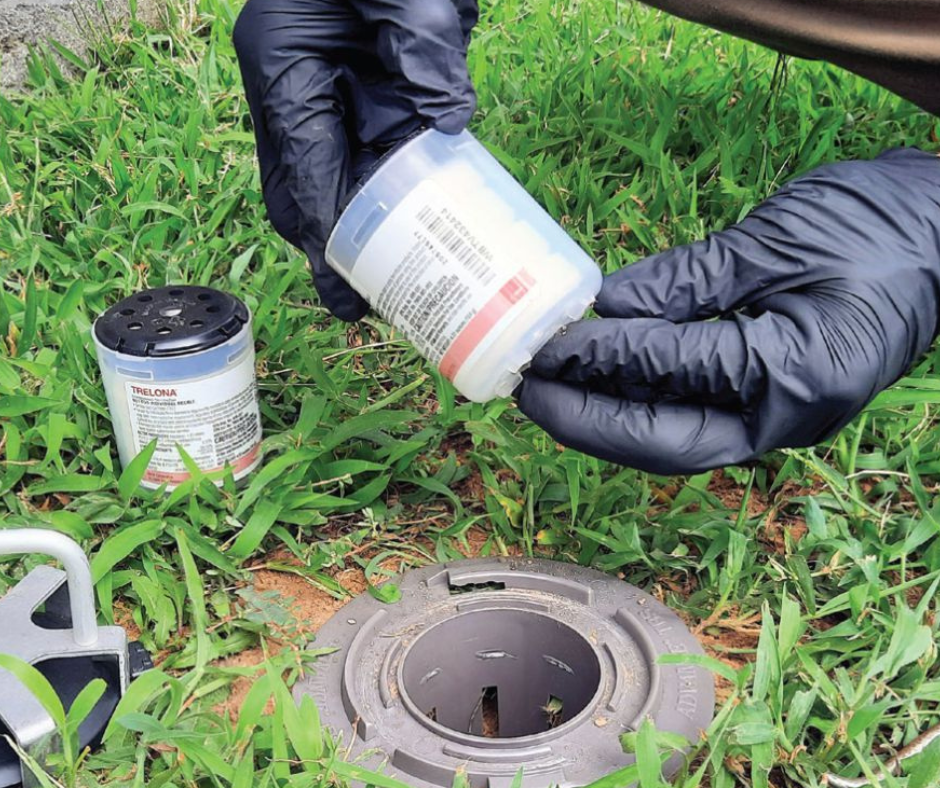 Trelona Termite Bait Station Installation in Holland Park, Brisbane : A Sweet Goodbye to Termites!