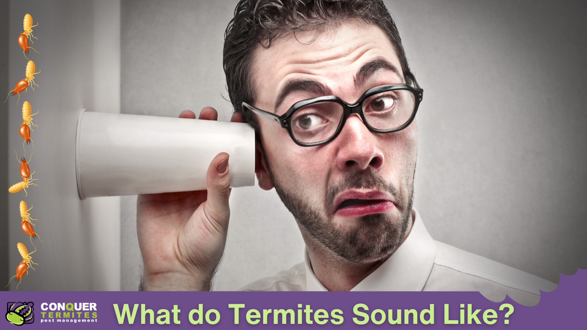 What Do Termites Sound Like?  A Guide for homeowners