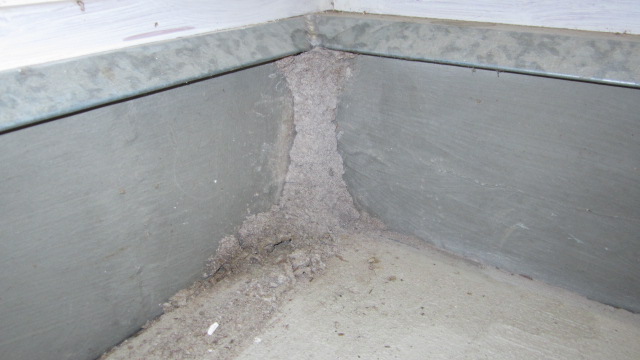 Tarragindi house - termite lead - ant cap July 2011 001