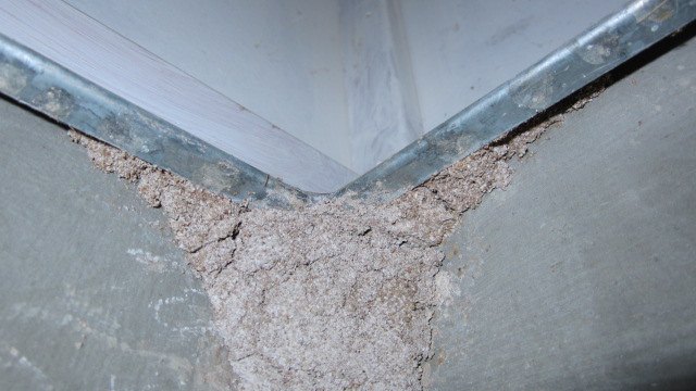 Tarragindi house - termite lead - ant cap July 2011 003