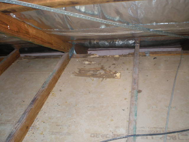 Termite damage in roof void