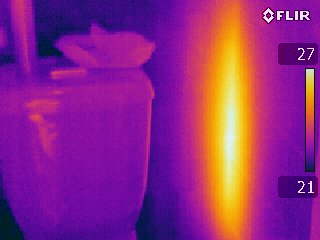 Thermal image shot of termite activity in a toilet wall 2012