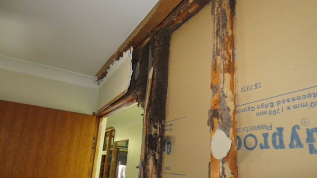 Termite damage inside