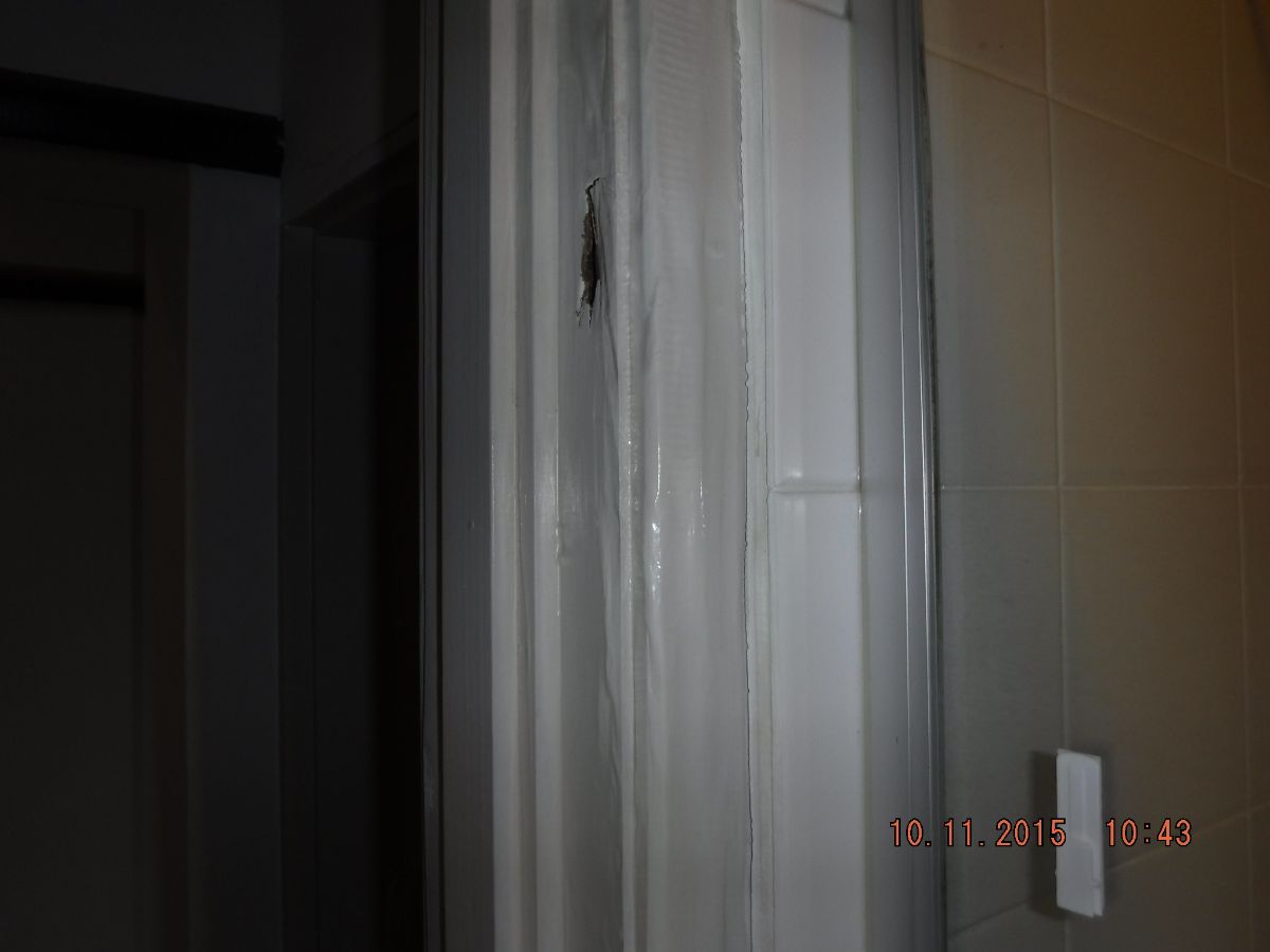 Door Frame Damaged by Termites