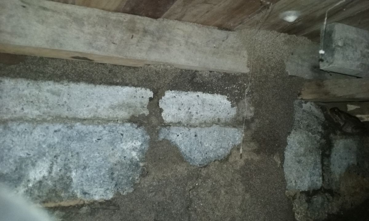 Subfloor Termite Mud Pack