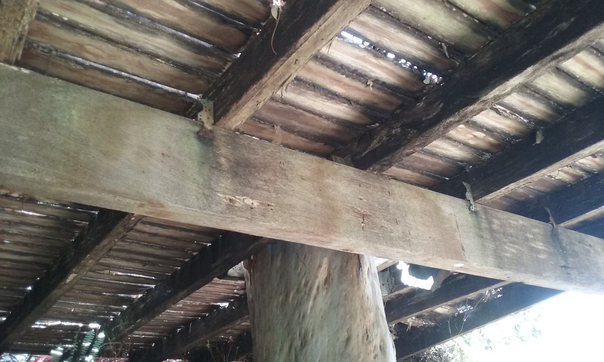 Termite damage under deck