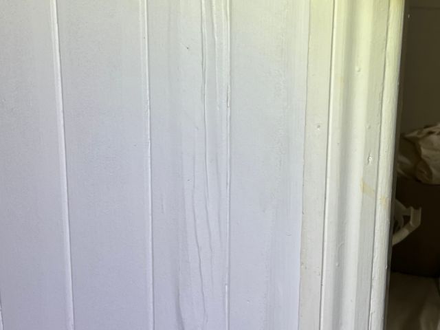 Photo showing termite damage in a vj timber wall - soft timbers