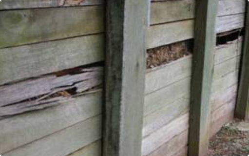 Photo showing a timber retaining wall that has been eaten by termites