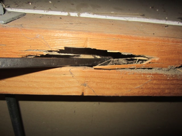 Photo showing a screwdriver exposing hollowed out framing timber casued by termites