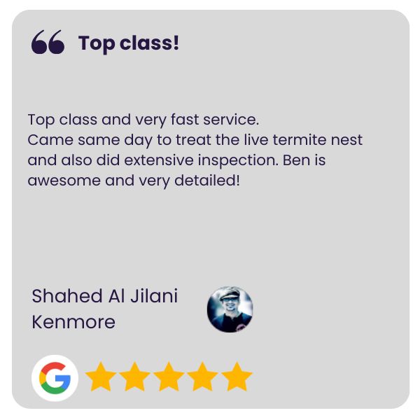 An image of a Google review that got 5 stars